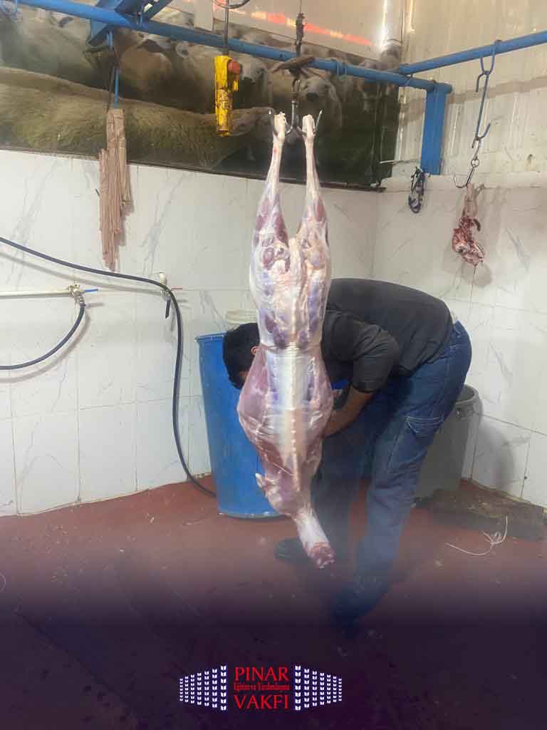 WhatsApp Image 2023-10-18 at 8.51.03 PM (9)